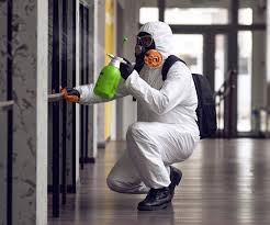 Why You Should Choose Our Mold Remediation Services in Lake City, AR